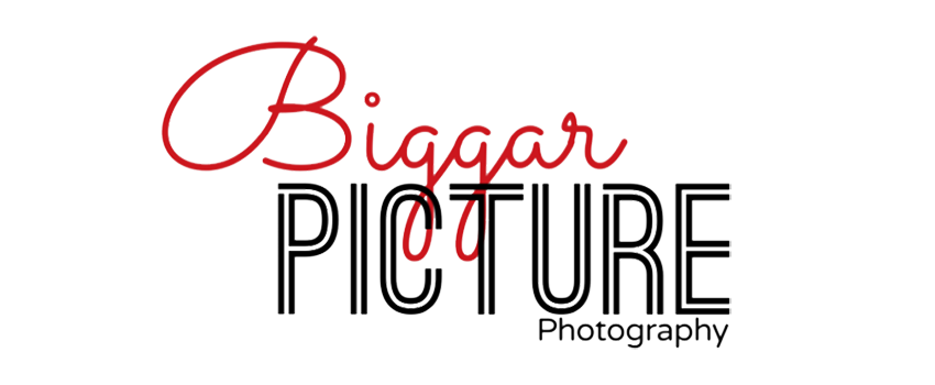 Logo for Biggar Picture Photography